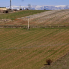 Imágenes de campos de cereal en la comarca agraria de Soria.-V. GUISANDE