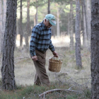 El turismo rural no se resiente a pesar de la escasez de producción micológica-Luis Ángel Tejedor