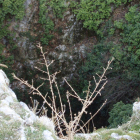 Torca de Fuencaliente-HDS