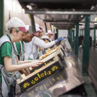 Mujeres trabajando en la selección de fruta de la empresa Fruilar.-DEFOTO / MARC CASALS