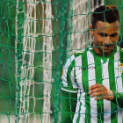 El delantero bético Rubén Castro, durante un partido en el Benito Villamarín.-Foto: AFP/ JORGE GUERRERO