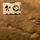 Huellas de cocodrilo prehistórico halladas en Bretún, Soria. DICYT