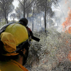 El mayor riesgo de incendios se concentra en puntos de Ávila, León y Zamora --EL MUNDO
