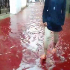 La sangre de los sacrificios de animales y la lluvia inundan las calles de Dacca (Bangladés).-YOUTUBE