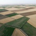 Vista aérea de varias parcelas de la comarca de Tierra de Campos palentina.-ICAL