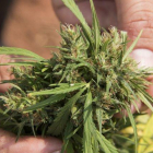 Con esta ley se beneficiarán miles de personas de todo el estado.-EFE