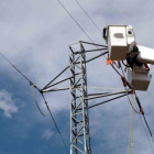 Adecuación de una torre de electricidad en la comarca de la Noguera para frenar la mortalidad de aves.-EL PERIÓDICO