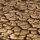 La sequía ha influido negativamente en la campaña de cereal.-V. G.