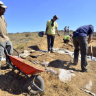 Imagen de los trabajos de excavación de Numancia de la campaña de 2012. / ÁLVARO MARTÍNEZ-
