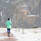 La primera nevada del 2015 en Soria