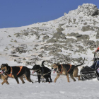 Un musher durante una etapa de la Soria Unlimited de este año.-VALENTÍN GUISANDE