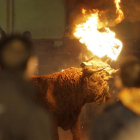 El Toro Jubilo se celebra en noviembre en Medinaceli-D.M.