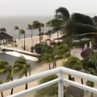 Palmeras balanceándose en Cayo Largo, Florida, como consecuencia del fuerte viento originado por el huracán Irma, en una imagen tomada del Facebook de Laura Kushner Gibson.-REUTERS