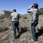 Los trabajos forestales agrupan a un sector importante en Soria-Luis Ángel Tejedor
