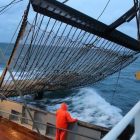 Pesquero holandés con redes equipadas con electrodos en el Mar del Norte.-TON KOENE