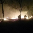 Bomberos intentan controlar las llamas del incendio que se ha adentrado este domingo en el parque natural de Doñana.-PLAN INFOCA