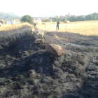 Detalle de la superficie quemada en el incendio en Golmayo el la tarde del jueves. HDS