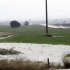 Efectos de las inundaciones en el campo-Luis Ángel Tejedor