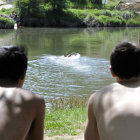 Un grupo de bañistas, ayer, en las márgenes del río Duero.-VALENTÍN GUISANDE