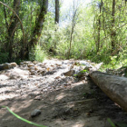 Zona deteriorada de las márgenes del río Duero, en una imagen reciente. / ÁLVARO MARTÍNEZ-