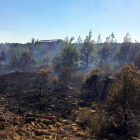 Incendio en Tejerizas el pasado domingo.-CEDIDA