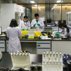 Tecnicos trabajan en el laboratorio de investigacion de ADN para la secuenciacion de genes  en Nanjing  China.-EFE / Aleksandar Plavevski