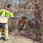Un bombero sale de entre la vegetación con el perro en brazos tras el rescate en el Duero. MARIO TEJEDOR