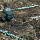 Un agente del Seprona analiza el foco del incendio en Ágreda.-SUBDELEGACIÓN