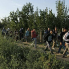 Un grupo de refugiados camina en los alrededores de Sid, cerca de la frontera con Croacia.-REUTERS / ANTONIO BRONIC