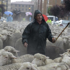 Uno de los últimos pastores trashumantes de Soria.-V. Guisande