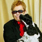 Elton John con su perro.-EL PERIÓDICO