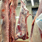 Una de las salas de Mataso, matadero en el que se realiza la mayoría de los sacrificios de animales para consumo de carne. / Á.M.-