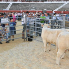 La feria se celebra en la plaza de Toros. DIEGO MAYOR-