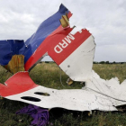 Restos del avión de Malaysia Airlines-/ AFP / DOMINIQUE FAGET