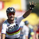 Peter Sagan celebra la victoria en la segunda etapa del Tour-YOAN VALAT