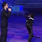 El perro Rocky, durante su actuación en la final de '¡Vaya fauna!'.-Foto: MEDIASET