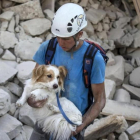 Un voluntario salva a un perro durante los trabajos de rescate tras el terremoto en la localidad de Amatrice  en el centro de Italia.-MASSIMO PERCOSSI / EFE