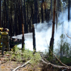 Los incendios fueron a menos.-Álvaro Martínez