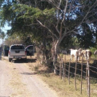 Policias del estado de Colima vigilan los accesos a las fosas clandestinas  localizadas en el municipio de Tecoman.-EFE