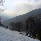 Entre el bosque, al inicio de nuestra excursión.-N.S.