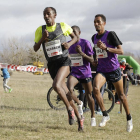 Imagen del cross de Soria celebrado el año pasado.-Diego Mayor