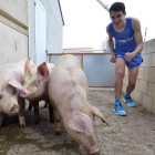 Dani Mateo con algunos de los cerdos que tiene en la granja, negocio que ha montado junto con su hermano. / ÁLVARO MARTÍNEZ-