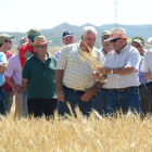Una imagen de la visita a los campos de ensayo de Asaja Soria en Almazán.-ÁLVARO MARTÍNEZ