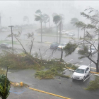 Árboles caídos por los vientos huracanados en un párking exterior de San Juan (Puerto Rico), el 20 de septiembre-AFP / HECTOR RETAMAL