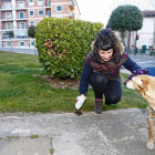 Señora recogiendo las cacas de su mascota-LAT