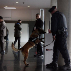 Un perro policía de la Unidad Canina de los Mossos explorando una papelera durante el Mobile World Congress-LAURA FÍGULS / ACN