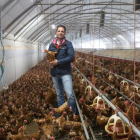 El bgerente de la empresa, Jesús Ciria, rodeado de algunas de las 34.000 gallinas con las que cuenta La Cañada Soriana.-ICAL