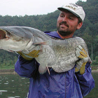 Un pescador sostiene un ejemplar de siluro joven en aguas de Centroeuropa. / HAPLOCHROMIS-