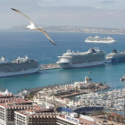 Vista de cuatro cruceros con cerca de 12.000 pasajeros en el Puerto de Alicante el pasado mes de mayo.-EFE/Archivo