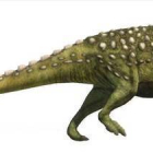 Reconstrucción artística de 'Struthiosaurius'.-